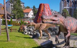 NIĐE NEBO NIJE PLAVO: Crnogorci preplavili Zlatibor za Njegošev dan