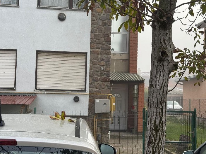 MONSTRUM VEZIVAO MAJKU ZA RADIJATOR PRE HORORA S MOTORNOM TESTEROM  Žena je bila mršava kao grana