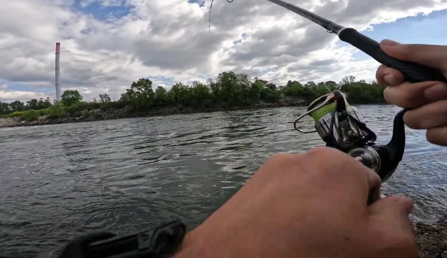 OKO EVROPE SVE MANJE RIBE Evrostat objavio podatke, drastično manji ulov iz godine u godinu