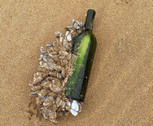 NEVEROVATNO OTKRIĆE Poruka u boci prešla pola sveta za 16 godina – sadržaj će vas ostaviti bez reči! (FOTO)