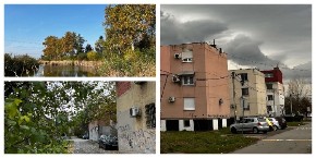 GOSPOĐA S MIRIJEVA UDARILA NA PADINSKU SKELU Od odgovora prvog komšije smeje se cela leva obala - POMENUO ŠVALERISANJE I LEK ZA NERVOZU