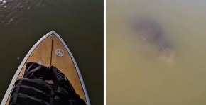 ŠTA JE BRE OVO, LJUDI MOJI? Plovila čamcem pa ugledala mehuriće na površini vode, izronilo čudovište! (VIDEO)