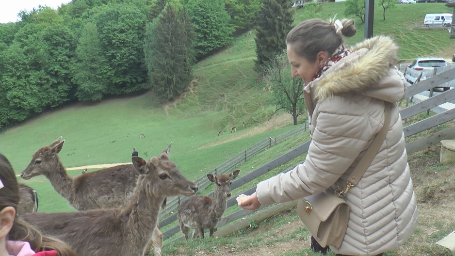 JELENI VAM JEDU IZ RUKE, TOLIKO SU PITOMI DA SVE DELUJE KAO BAJKA Ovo selo proglašeno za najlepše u Evropi