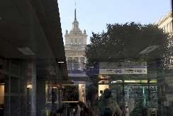 STRAŠNA EPIDEMIJA U BUGARSKOJ Ovčija kuga hara u komšiluku: Svi uzorci su pozitivni na bolest!