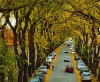 DA LI ZNATE ŠTA JE SOVEMBAR? Zbog ove atrakcije turisti iz celog sveta dolaze u Kikindu