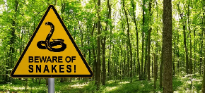 OVOM PREDATORU JE POTREBNO SAMO 13 SEKUNDI DA VAS USMRTI Ali on nije najopasniji, ovaj podatak će  sve šokirati!