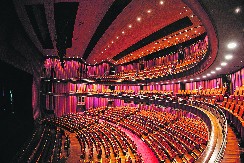 "UOBRAŽENI BOLESNIK" KAO IZRAZ LJUBAVI PREMA POZORIŠTU Reditelj Nikola Zavišić očuvao pozorišno delo