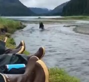 DRAMA NA OBALI REKE, DIVLJA ZVER NALETELA NA LJUDE Evo kako su uspeli da spasu živu glavu, jedna stvar je ključna! (VIDEO)