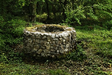 MEŠTANI TRI DANA ČULI VRISKU IZ OBLIŽNJE ŠUME Kada su videli šta je u napuštenom bunaru, umalo se onesvestili od šoka! (FOTO)