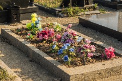 "OVAJ NAROD JE POLUDEO" Srpski redit gori zbog ove objave: Čuj, snaja hoće da iskopa babu