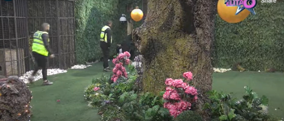 ANELI AHMIĆ BEŽI IZ ELITE? Obezbeđenje pokušalo da je odvrati od namere, suze i jecaji u Rajskom vrtu!