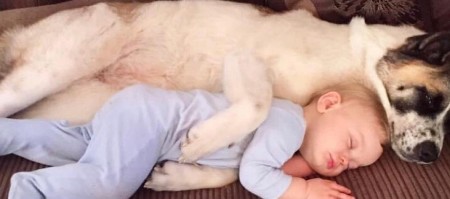 TRUDNICA OSETILA BOL U LEĐIMA, LJUBIMAC JE SEDEO PORED NJE I CVILEO Kada je otišla na pregled lekari zanemeli, pas joj spasio život! (FOTO)