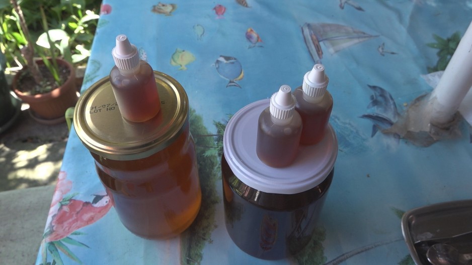 PČELINJI OTROV KAO LEKOVIT MELEM! Marina od jednog nesvakidašnjeg sastojka pravi lek!