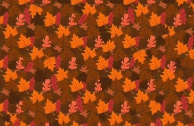 SAMO 1% LJUDI MOŽE U PRVIH 15 SEKUNDI DA PRONAĐE ŽIVOTINJU NA SLICI Proverite da li ste i vi među njima!