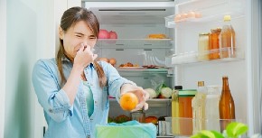 FRIŽIDER ĆE MIRISATI KAO BUKET CVEĆA Samo ubacite ove prirodne sastojke i neprijatan miris će nestati zauvek