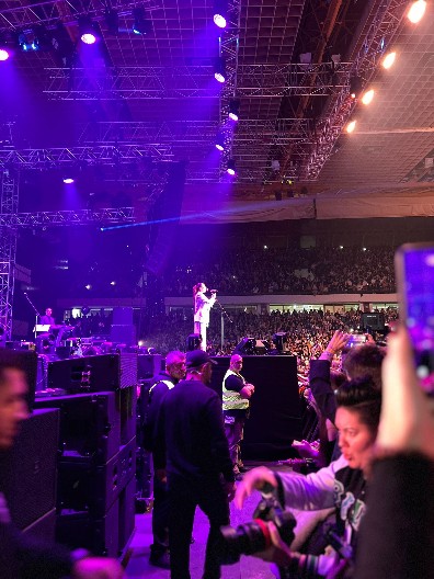 CECA PONOVO IZAZVALA JAKU EMOCIJU PUBLIKE Počeo je koncert u Novom Sadu, poslala snažnu poruku! (VIDEO)