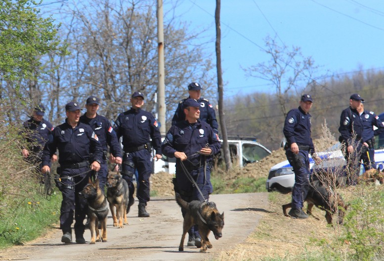HOROR KOD KRALJEVA! PSIMA SEKAO UŠI, REPOVE... Kod stranca zatečeno više sveže odsečenih ušiju i repova