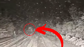 "UBICA NA PUTU KOD BORSKOG JEZERA" Cela Srbija na nogama, sreća pa nema mrtvih