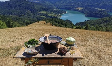 NAŠ NAJPOZNATIJI TRAVAR OTKRIVA Ovih 5 biljaka su kao prva pomoć i treba ih imati u kući