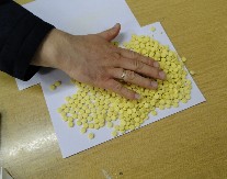 ZAVRŠIO IZA REŠETAKA ZBOG HALUCINOGENIH PEČURAKA I POLA CIGLE MARIHUANE Uhapšen Novosađanin