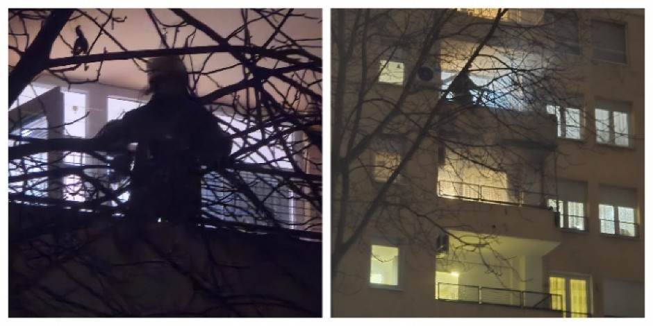 GORI ZGRADA NA NOVOM BEOGRADU! Planuo četvrti sprat (FOTO)