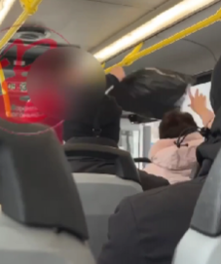 DRAMA U JAVNOM PREVOZU Vozač primorava ženu da izađe iz autobusa