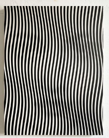 ŠTA SE KRIJE IZA OVIH LINIJA Samo osobe sa visokom inteligencijim će udmah ugledati uljeza