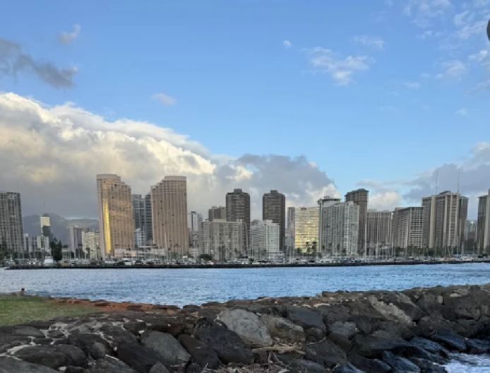 PRONAĐITE SVE MAČKE! Skrivalica koja je osvojila internet, optička iluzija, korisnici odlepili (FOTO)