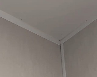 UGLEDALA JE JEZIVOG INSEKTA NA PLAFONU, ALI GA JE OSTAVILA NA MIRU Zbog te odluke je gorko zažalila, doživela noćnu moru! (VIDEO)