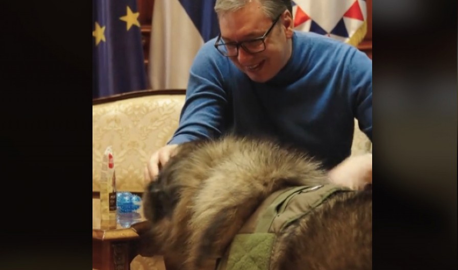 UPOZNAJTE PAKA, ON JE MOJ VERNI ČUVAR Predsednik Vučić podelio lepe trenutke igre sa svojim psom (VIDEO)