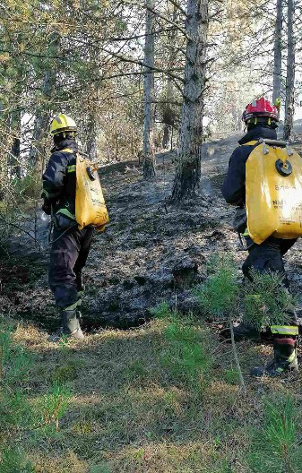 PALIO KOROV NA IMANJU, PA NASTRADAO Tragedija kod Požege
