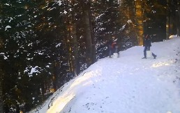 "PRIVLAČI DIVLJE SVINJE, MOŽEMO SE I ZARAZITI!" Iz parka prirode traže osobe sa SKANDALOZNOG snimka! (VIDEO)