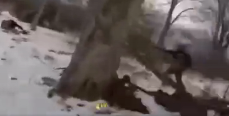 UPALI U RUSKU ZASEDU Krenuli u svirepu likvidaciju jednog po jednog (UZNEMIRUJUĆI VIDEO)