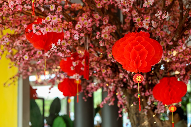 KINESKI HOROSKOP ZA MART 2025. Šta čeka svaki horoskopski znak u narednom periodu