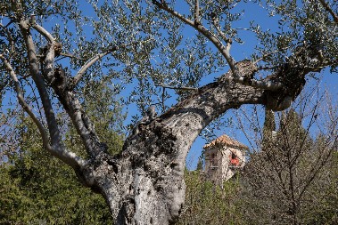 ZA OVU KUĆU KAŽU DA JE NAJUKLETIJA NA SVETU Spolja sva blista, a unutra krije jezivu tajnu