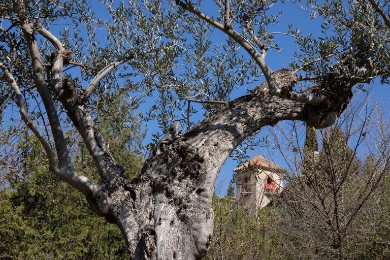 ZA OVU KUĆU KAŽU DA JE NAJUKLETIJA NA SVETU Spolja sva blista, a unutra krije jezivu tajnu