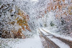 NEVEROVATNO! Meteorolog Ivan Ristić najavljuje haos u martu - EVO KADA STIŽE SNEG
