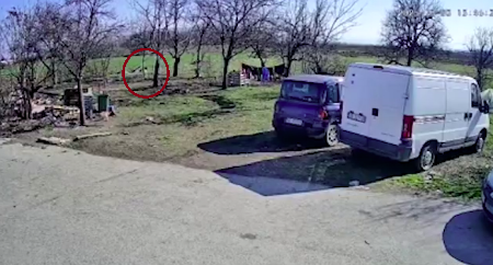 SNIMLJEN TRENUTAK KAD JE NESTALA DUNJA MARKOVIĆ Trčala preko voćnjaka, pala, posle joj se gubi svaki trag (VIDEO)