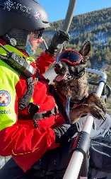 OVO JE PAS IKONA KOJI JE PRONAŠAO MALU DEVOJČICU SA UBA Junak potrage „radi“ za Gorsku službu spasavanja Srbije!