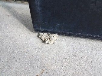 Stavljali su taj kamen da im „drži vrata“ – a onda su saznali da vredi milione! (FOTO)