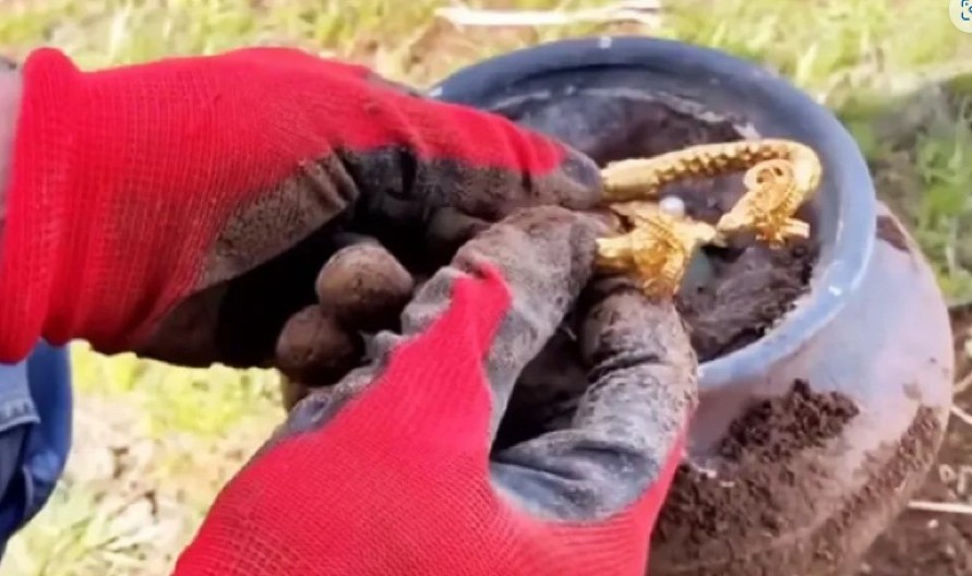 AU, MAJKO MILA, DA LI JE MOGUĆE? Pronašli zakopano blago ispod stene, sekund kasnije divlja zver iskočila iz ćupa, horor! (VIDEO)
