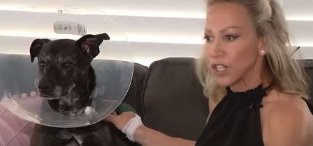 DIVLJE STVORENJE ISKOČILO IZ JEZERA I ZGRABILO PSA Krv je liptala na sve strane, ali nastavnica nije popustila, borba je bila brutalna! (VIDEO)