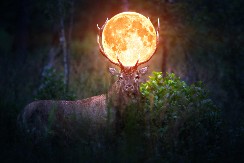 PUN MESEC U VAGI DONOSI HAOS Za 4 horoskopska znaka od ovog datuma u aprilu sve se menja