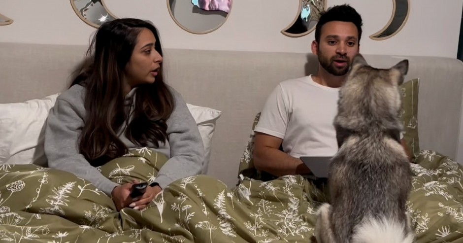 PAS ODUŠEVIO 19,5 MILIONA LJUDI Samo da vidite kako očita bukvicu svom vlasniku jer ne sluša suprugu!