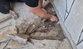 ZMIJE POD NOGAMA Vladica iz Vladičinog Hana snimio jezivu scenu