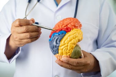 MOZAK ĆE DA RADI KAO SAT Poboljšajte njegovu funkciju na 7 jednostavnih načina, uključite ih u svakodnevnu rutinu