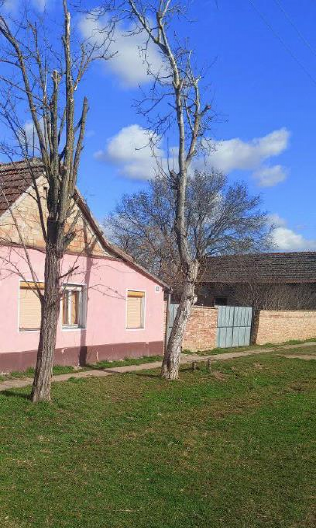 KUĆA IZ SNOVA U MALOM RAJU: Prodaje se za 12.000 evra, a evo šta sve dobijate