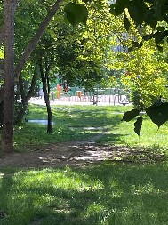 PRVI SNIMCI SA MESTA UBISTVA NA KONJARNIKU! Telo u parku prekiveno, ulica pod opsadom! (FOTO/VIDEO)