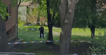BEOGRADSKA POLICIJA NA NOGAMA Četiri nasilnika na slobodi nakon strašnog ubistva, svedok je ŽENA SA DETETOM! (VIDEO)