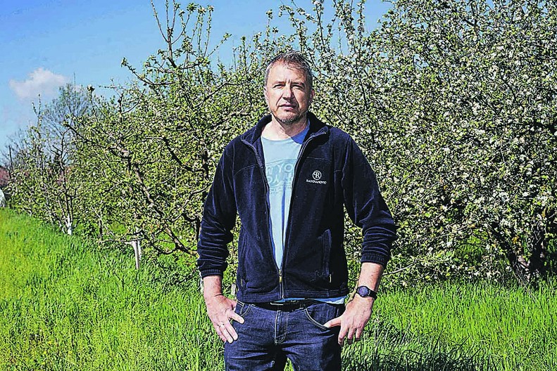 KOLAČARA CVETA, NIŠTA JOJ NE SMETA! Neurolog Aleksandar Stojanović čuva autohtone sorte voća od nestanka